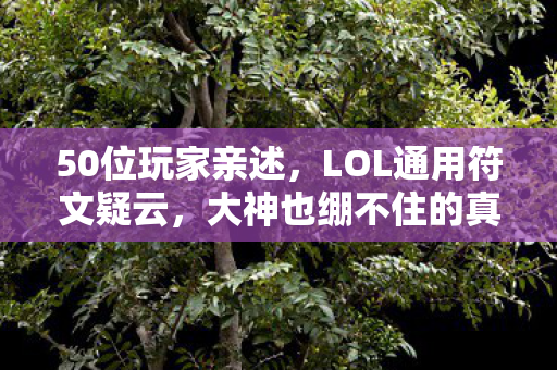 50位玩家亲述,LOL通用符文疑云,大神也绷不住的真相竟是…… 50位玩家亲述,LOL通用符文疑云,大神也绷不住的真相竟是……