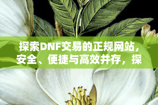 探索DNF交易的正规网站，安全、便捷与高效并存，探索DNF交易正规网站，安全、便捷与高效并存
