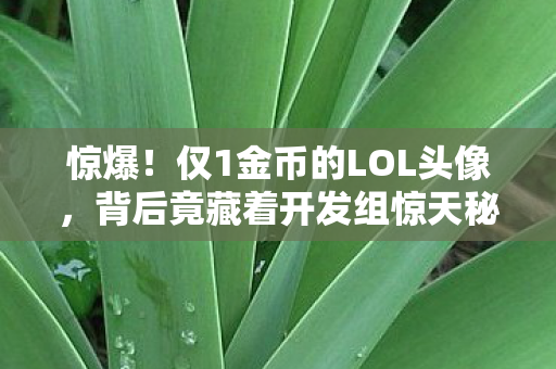 惊爆！仅1金币的LOL头像，背后竟藏着开发组惊天秘密？