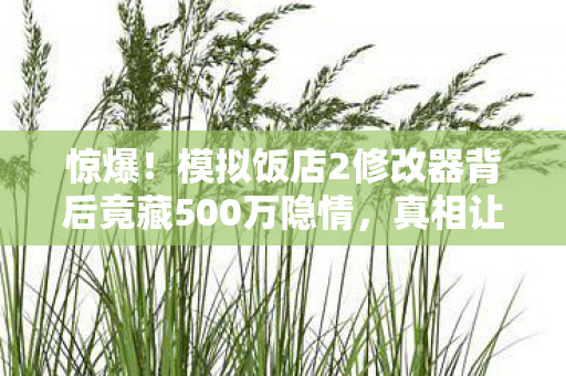 惊爆!模拟饭店2修改器背后竟藏500万隐情,真相让人吓一跳! 惊爆!模拟饭店2修改器背后竟藏500万隐情,真相让人吓一跳!