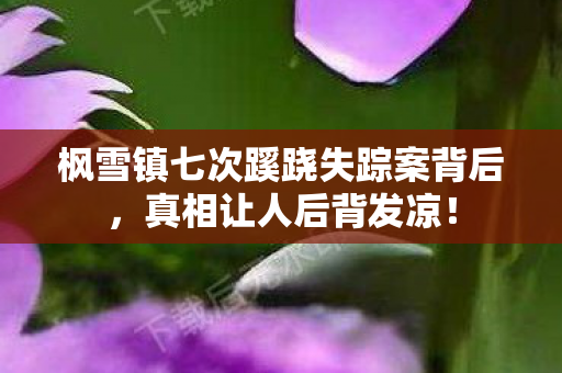 枫雪镇七次蹊跷失踪案背后,真相让人后背发凉! 枫雪镇七次蹊跷失踪案背后,真相让人后背发凉!