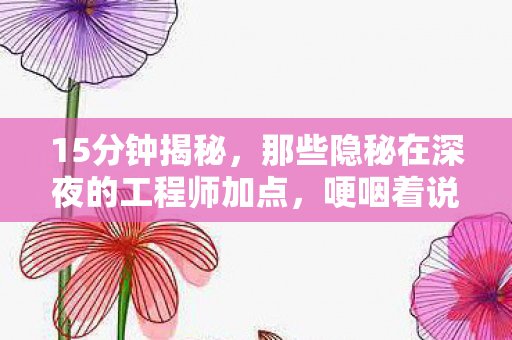 15分钟揭秘,那些隐秘在深夜的工程师加点,哽咽着说再见 15分钟揭秘,那些隐秘在深夜的工程师加点,哽咽着说再见