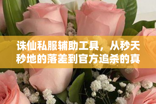 诛仙私服辅助工具,从秒天秒地的落差到官方追杀的真相,笑着笑着就哭了 诛仙私服辅助工具,从秒天秒地的落差到官方追杀的真相,笑着笑着就哭了