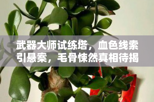 武器大师试练塔,血色线索引悬案,毛骨悚然真相待揭 武器大师试练塔,血色线索引悬案,毛骨悚然真相待揭