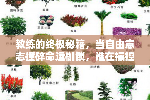 教练的终极秘籍，当自由意志撞碎命运枷锁，谁在操控你的灵魂手柄？