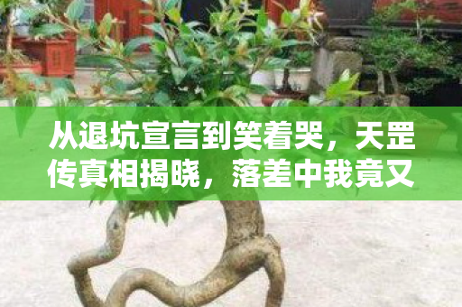 从退坑宣言到笑着哭,天罡传真相揭晓,落差中我竟又沦陷! 从退坑宣言到笑着哭,天罡传真相揭晓,落差中我竟又沦陷!