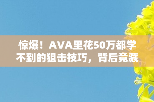 惊爆!AVA里花50万都学不到的狙击技巧,背后竟藏着吓一跳的隐情! 惊爆!AVA里花50万都学不到的狙击技巧,背后竟藏着吓一跳的隐情!