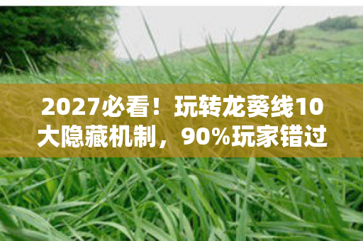 2027必看！玩转龙葵线10大隐藏机制，90%玩家错过的沉浸式体验心得