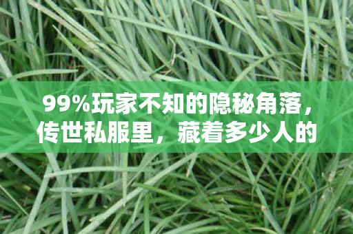 99%玩家不知的隐秘角落，传世私服里，藏着多少人的深夜扎心时刻？