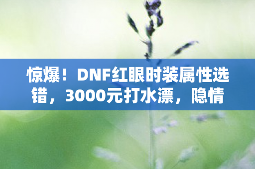 惊爆！DNF红眼时装属性选错，3000元打水漂，隐情曝光吓一跳！