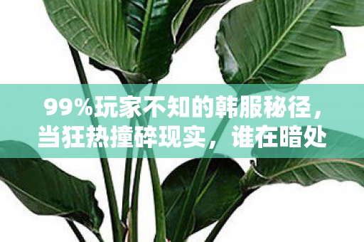 99%玩家不知的韩服秘径,当狂热撞碎现实,谁在暗处收割你的热爱? 99%玩家不知的韩服秘径,当狂热撞碎现实,谁在暗处收割你的热爱?