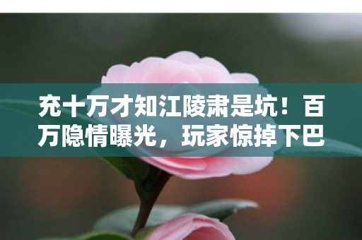 充十万才知江陵肃是坑!百万隐情曝光,玩家惊掉下巴! 充十万才知江陵肃是坑!百万隐情曝光,玩家惊掉下巴!