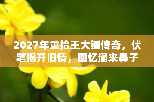 2027年重拾王大锤传奇，伏笔揭开旧情，回忆涌来鼻子一酸