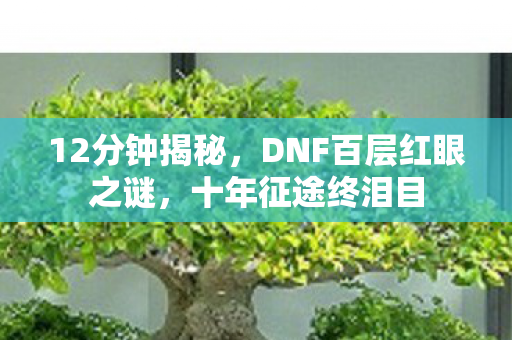 12分钟揭秘,DNF百层红眼之谜,十年征途终泪目 12分钟揭秘,DNF百层红眼之谜,十年征途终泪目