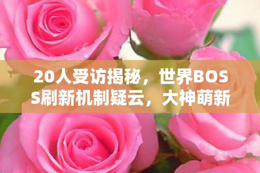 20人受访揭秘,世界BOSS刷新机制疑云,大神萌新集体绷不住笑场! 20人受访揭秘,世界BOSS刷新机制疑云,大神萌新集体绷不住笑场!