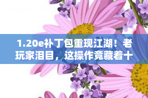 1.20e补丁包重现江湖!老玩家泪目,这操作竟藏着十年未解之谜? 1.20e补丁包重现江湖!老玩家泪目,这操作竟藏着十年未解之谜?