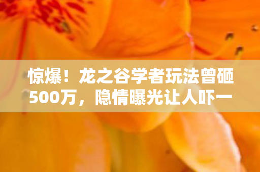 惊爆!龙之谷学者玩法曾砸500万,隐情曝光让人吓一跳! 惊爆!龙之谷学者玩法曾砸500万,隐情曝光让人吓一跳!