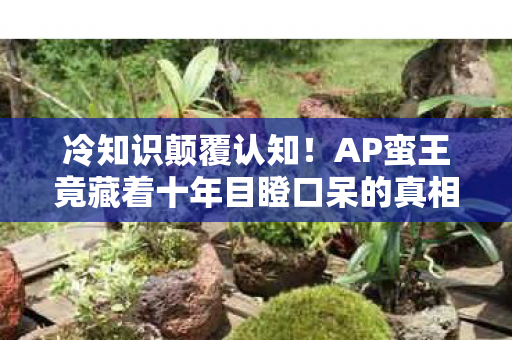 冷知识颠覆认知!AP蛮王竟藏着十年目瞪口呆的真相 冷知识颠覆认知!AP蛮王竟藏着十年目瞪口呆的真相