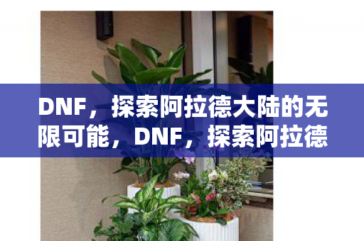 探索阿拉德大陆的无限可能图片