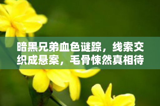 暗黑兄弟血色谜踪,线索交织成悬案,毛骨悚然真相待揭 暗黑兄弟血色谜踪,线索交织成悬案,毛骨悚然真相待揭
