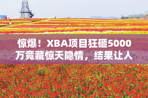 惊爆！XBA项目狂砸5000万竟藏惊天隐情，结果让人吓一跳！