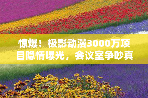 惊爆!极影动漫3000万项目隐情曝光,会议室争吵真相让人吓一跳! 惊爆!极影动漫3000万项目隐情曝光,会议室争吵真相让人吓一跳!
