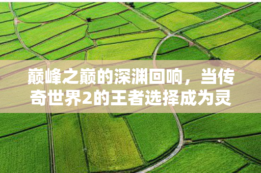 巅峰之巅的深渊回响,当传奇世界2的王者选择成为灵魂的悖论囚笼 巅峰之巅的深渊回响,当传奇世界2的王者选择成为灵魂的悖论囚笼