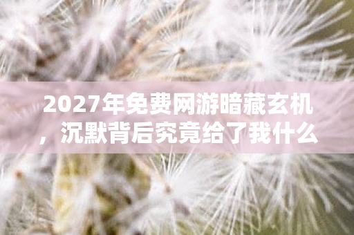 2027年免费网游暗藏玄机,沉默背后究竟给了我什么? 2027年免费网游暗藏玄机,沉默背后究竟给了我什么?