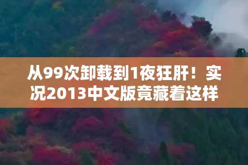 从99次卸载到1夜狂肝!实况2013中文版竟藏着这样的秘密? 从99次卸载到1夜狂肝!实况2013中文版竟藏着这样的秘密?