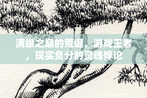 满级之巅的荒诞,游戏王者,现实负分的灵魂悖论 满级之巅的荒诞,游戏王者,现实负分的灵魂悖论