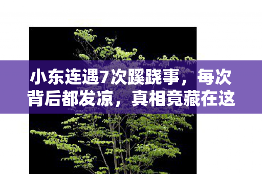 小东连遇7次蹊跷事，每次背后都发凉，真相竟藏在这诡异循环里！