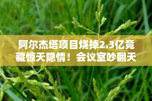 阿尔杰塔项目烧掉2.3亿竟藏惊天隐情!会议室吵翻天,结果让人吓一跳! 阿尔杰塔项目烧掉2.3亿竟藏惊天隐情!会议室吵翻天,结果让人吓一跳!