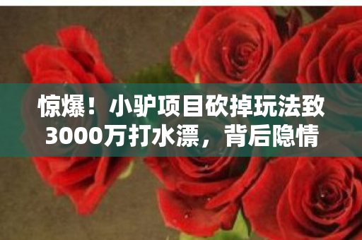 惊爆！小驴项目砍掉玩法致3000万打水漂，背后隐情让人吓一跳！