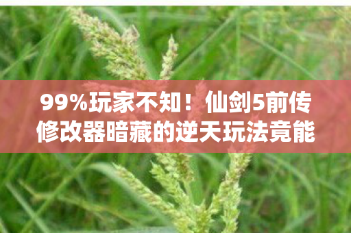 99%玩家不知!仙剑5前传修改器暗藏的逆天玩法竟能颠覆认知? 99%玩家不知!仙剑5前传修改器暗藏的逆天玩法竟能颠覆认知?