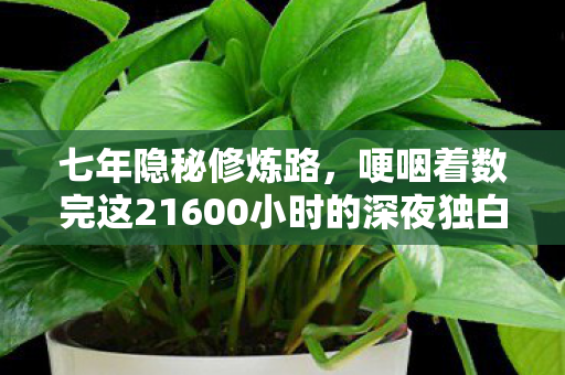 七年隐秘修炼路,哽咽着数完这21600小时的深夜独白 七年隐秘修炼路,哽咽着数完这21600小时的深夜独白