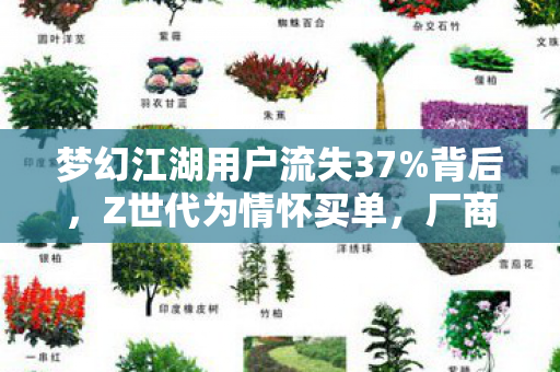 梦幻江湖用户流失37%背后,Z世代为情怀买单,厂商闷声收割200亿新蓝海 梦幻江湖用户流失37%背后,Z世代为情怀买单,厂商闷声收割200亿新蓝海