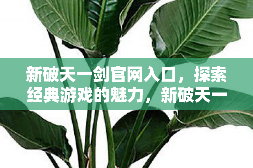 新破天一剑官网入口,探索经典游戏的魅力,新破天一剑官网,探索经典游戏的魅力 新破天一剑官网入口,探索经典游戏的魅力,新破天一剑官网,探索经典游戏的魅力