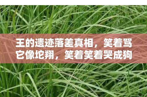 王的遗迹落差真相,笑着骂它像坨翔,笑着笑着哭成狗 王的遗迹落差真相,笑着骂它像坨翔,笑着笑着哭成狗