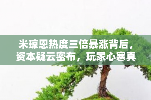 米琼恩热度三倍暴涨背后,资本疑云密布,玩家心寒真相何在? 米琼恩热度三倍暴涨背后,资本疑云密布,玩家心寒真相何在?