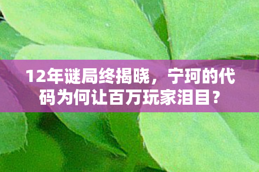 12年谜局终揭晓,宁珂的代码为何让百万玩家泪目? 12年谜局终揭晓,宁珂的代码为何让百万玩家泪目?