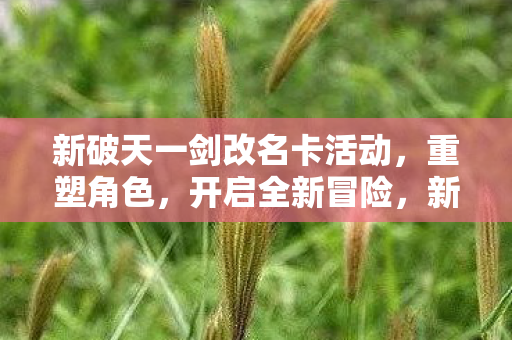 新破天一剑改名卡活动,重塑角色,开启全新冒险,新破天一剑改名卡活动,重塑角色,开启全新冒险之旅 新破天一剑改名卡活动,重塑角色,开启全新冒险,新破天一剑改名卡活动,重塑角色,开启全新冒险之旅
