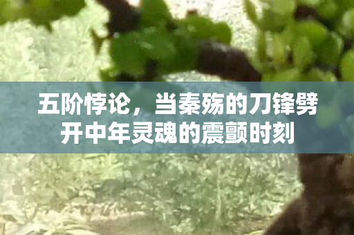 五阶悖论,当秦殇的刀锋劈开中年灵魂的震颤时刻 五阶悖论,当秦殇的刀锋劈开中年灵魂的震颤时刻