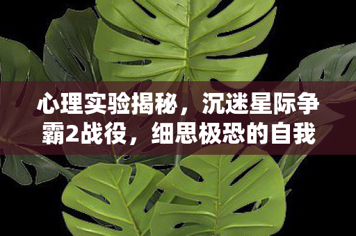 心理实验揭秘,沉迷星际争霸2战役,细思极恐的自我囚禁 心理实验揭秘,沉迷星际争霸2战役,细思极恐的自我囚禁