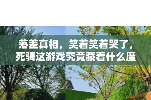 落差真相,笑着笑着哭了,死骑这游戏究竟藏着什么魔力? 落差真相,笑着笑着哭了,死骑这游戏究竟藏着什么魔力?