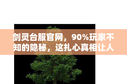 剑灵台服官网，90%玩家不知的隐秘，这扎心真相让人彻夜难眠！