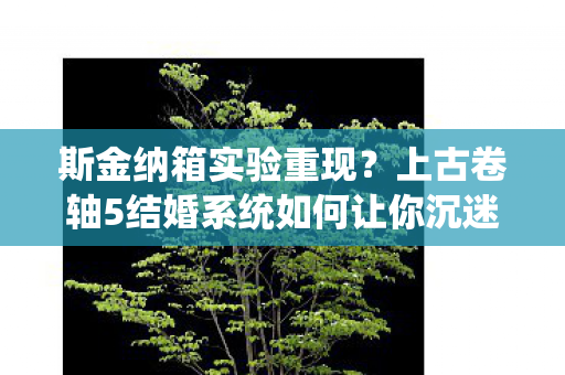 斯金纳箱实验重现?上古卷轴5结婚系统如何让你沉迷到细思极恐 斯金纳箱实验重现?上古卷轴5结婚系统如何让你沉迷到细思极恐