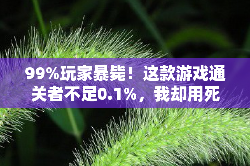 99%玩家暴毙!这款游戏通关者不足0.1%,我却用死亡机制逆天改命 99%玩家暴毙!这款游戏通关者不足0.1%,我却用死亡机制逆天改命