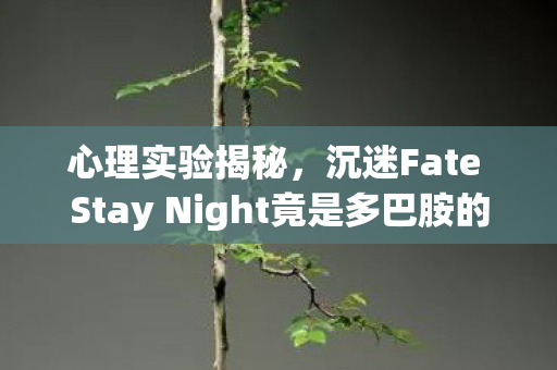 心理实验揭秘,沉迷Fate Stay Night竟是多巴胺的细思极恐陷阱 心理实验揭秘,沉迷Fate Stay Night竟是多巴胺的细思极恐陷阱