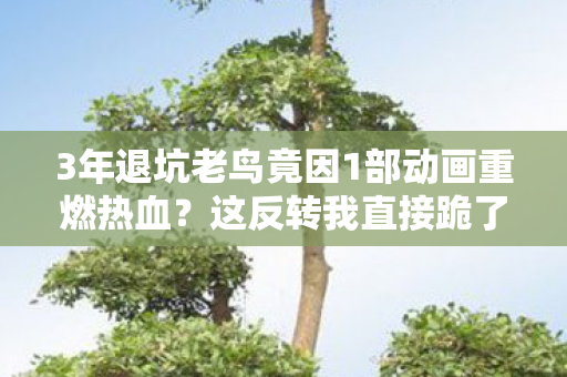 3年退坑老鸟竟因1部动画重燃热血?这反转我直接跪了! 3年退坑老鸟竟因1部动画重燃热血?这反转我直接跪了!
