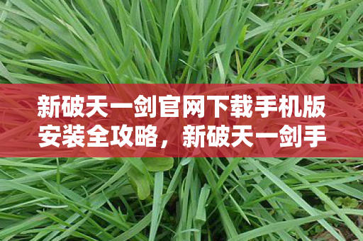 新破天一剑官网下载手机版安装全攻略,新破天一剑手游下载安装全攻略 新破天一剑官网下载手机版安装全攻略,新破天一剑手游下载安装全攻略